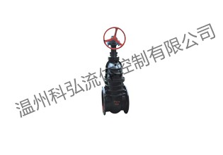 优惠销售铸铁闸阀Z545T