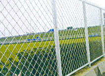 农场围网商机，菜地隔离网价格，河北省生产围栏网商家