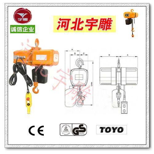 TOYO电动葫芦-日本东洋电动葫芦