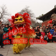 元宵春节耍龙灯舞狮 威风锣鼓传统文化 鼓动中国 黄金龙