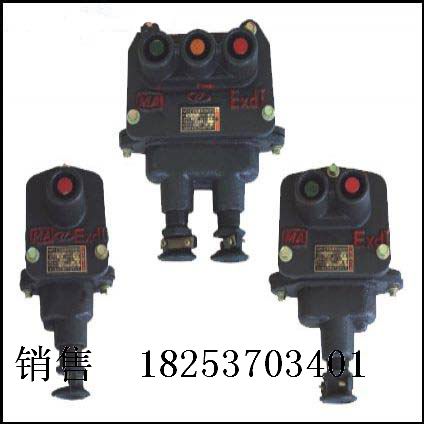 BZA10-1、2、3矿用隔爆型控制按扭，防爆按钮厂家