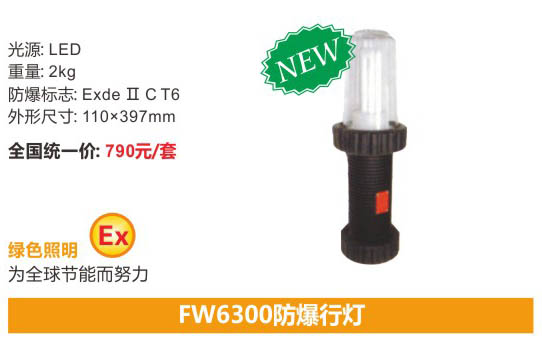 海洋王FW6300/FW6300A型号的防爆行灯