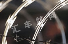 汇丰PVC刺绳、供应刺绳、生产刀片刺绳