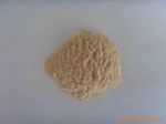 长期大量供应大麦芽碱