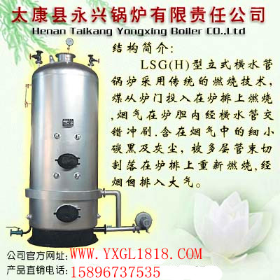 蒸汽锅炉[河南永兴锅炉集团公司】官方网站