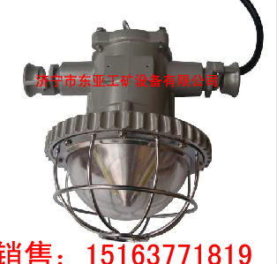 LED系列DGS12W/127L(B)防爆巷道灯