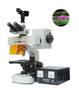 标准配置荧光显微镜