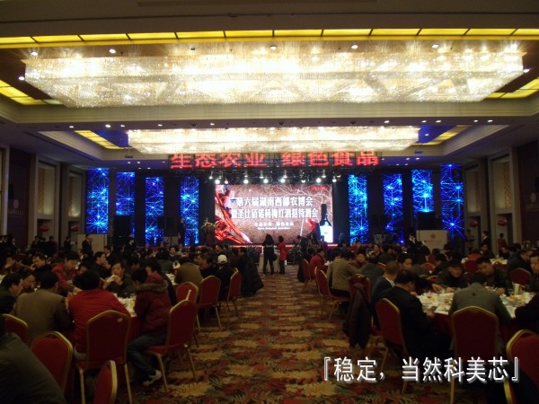 内蒙古LED显示屏技术工程师