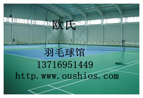 业羽毛球塑胶地胶，体育羽毛球场地地胶，羽毛球聚氯乙烯地胶