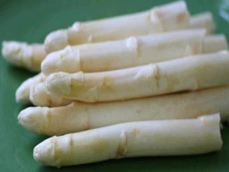 供应芦笋种子全雄格雷斯