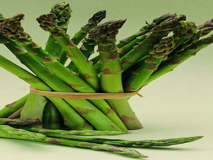 供应泽西全雄芦笋种子