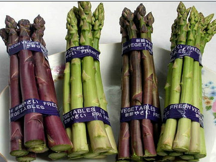 供应法国全雄-芦笋种子