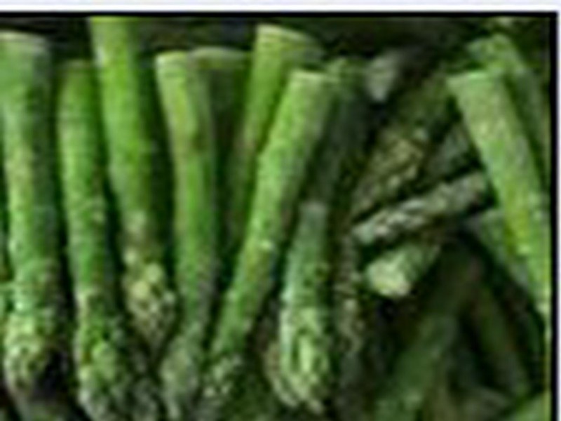 供应芦笋种子-冠军一号F1