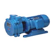 SK直联水环式真空泵生产厂家