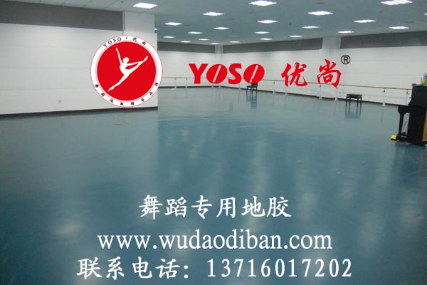 厂家供应舞蹈地胶，舞蹈房专用舞蹈地胶