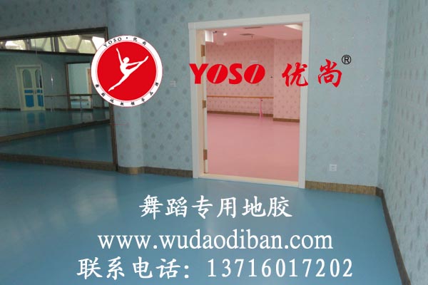 供应舞蹈地胶，舞蹈地胶每平米多少钱