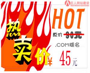 空间域名价格45元/年