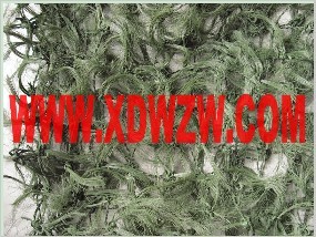 供应海水迷彩松针伪装网