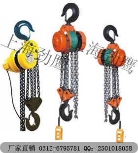 DHP环链电动葫芦-DHP群吊专用电动葫芦-劲鹰公司