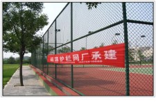 供应球场围栏网