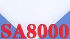 泰州SA8000认证镇江TS16949扬州CSETI认证