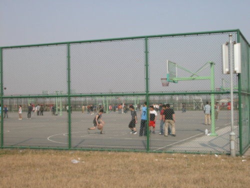 供应体育场护栏网，勾花护栏网，球场护栏网