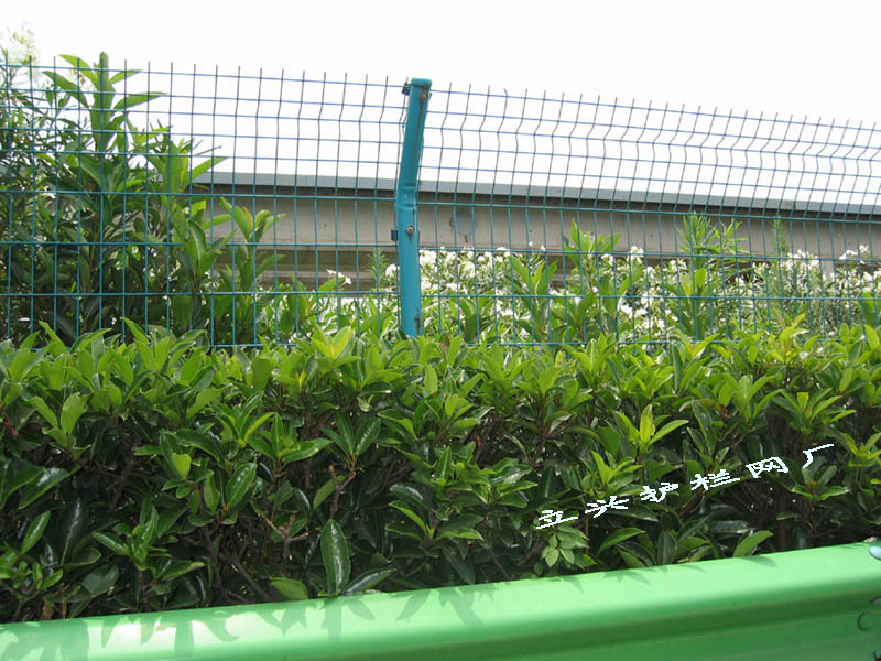 供应双边护栏网，安平护栏网，小区护栏网