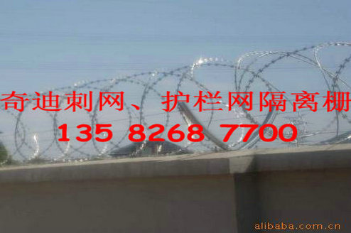 不锈钢刀刺网，镀锌刀片刺网