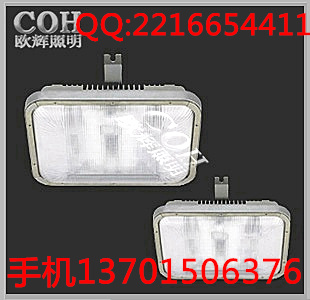 无极顶灯厂家，NFC9175顶灯价格，防水防震顶灯