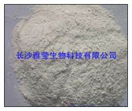 供应迷迭香提取物,熊果酸