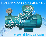 IRG300-500C热水变频泵