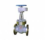 温州高中压闸阀Z41H-250-100C