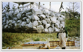 广西柳州石笼网，石笼网，矿筛网供应商，南宁宝誉石笼网厂家