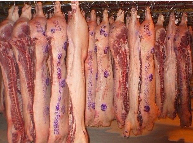 供应藏香猪冷冻肉