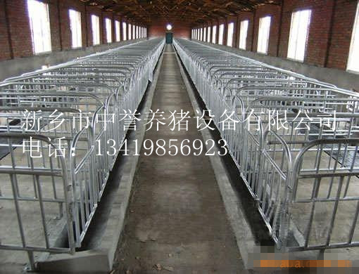找养猪设备到新乡中誉养猪设备厂13419856923 
