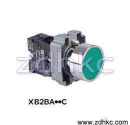 特价供应施耐德按钮XB2-BG03C