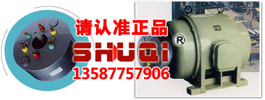 电流小力矩大的WZR无刷自控电机软起动器