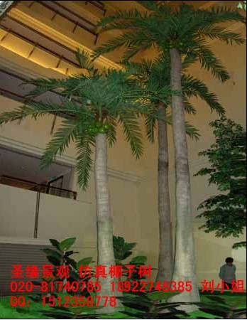 厂家直销仿真椰子树海枣树棕榈树老人葵榕树