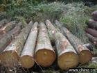 欧洲木材深圳进口清关手续