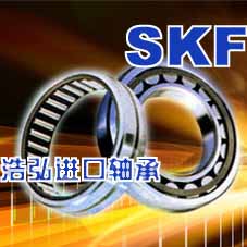 齐齐哈尔SKF轴承型号NSK2312轴承价格浩弘进口轴承