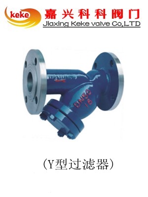 Y型过滤器