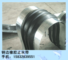 钢边橡胶止水带价格，钢边橡胶止水带厂家