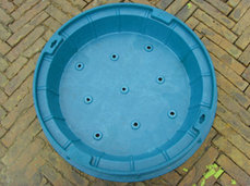 供应复合盆井草盆景