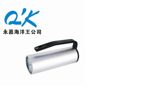 海洋王RJW7101 RJW7102/LT手提式防爆探照灯