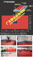 广东乒乓球塑胶地板/乒乓球塑胶运动地板/乒乓球馆地板