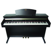 天歌畅销立式电钢琴TG-DP3500