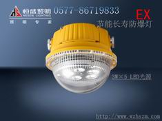 节能长寿防爆灯GAD603、BF340厂家直销