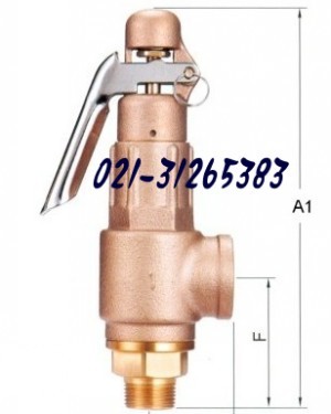 SV-B3DL黄铜安全阀-317安全阀