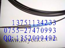 E2E-X2F1-Z.E2E-X2F1.E3S-2E4