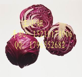 蓝种子|紫甘蓝种子|甘蓝种子多少钱一斤|紫甘蓝的做法|紫甘蓝
